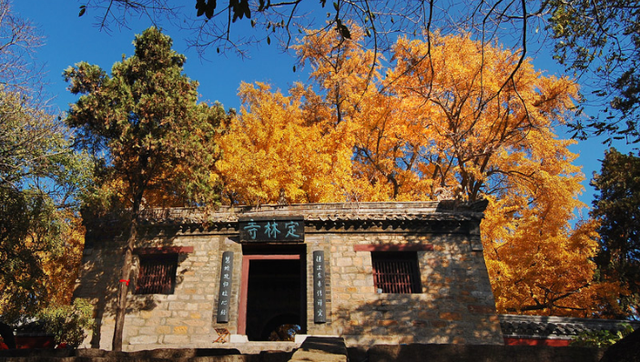 无锡|山东有座宝藏景区，冬暖夏凉，植被覆盖率超高，被赞“天然氧吧”