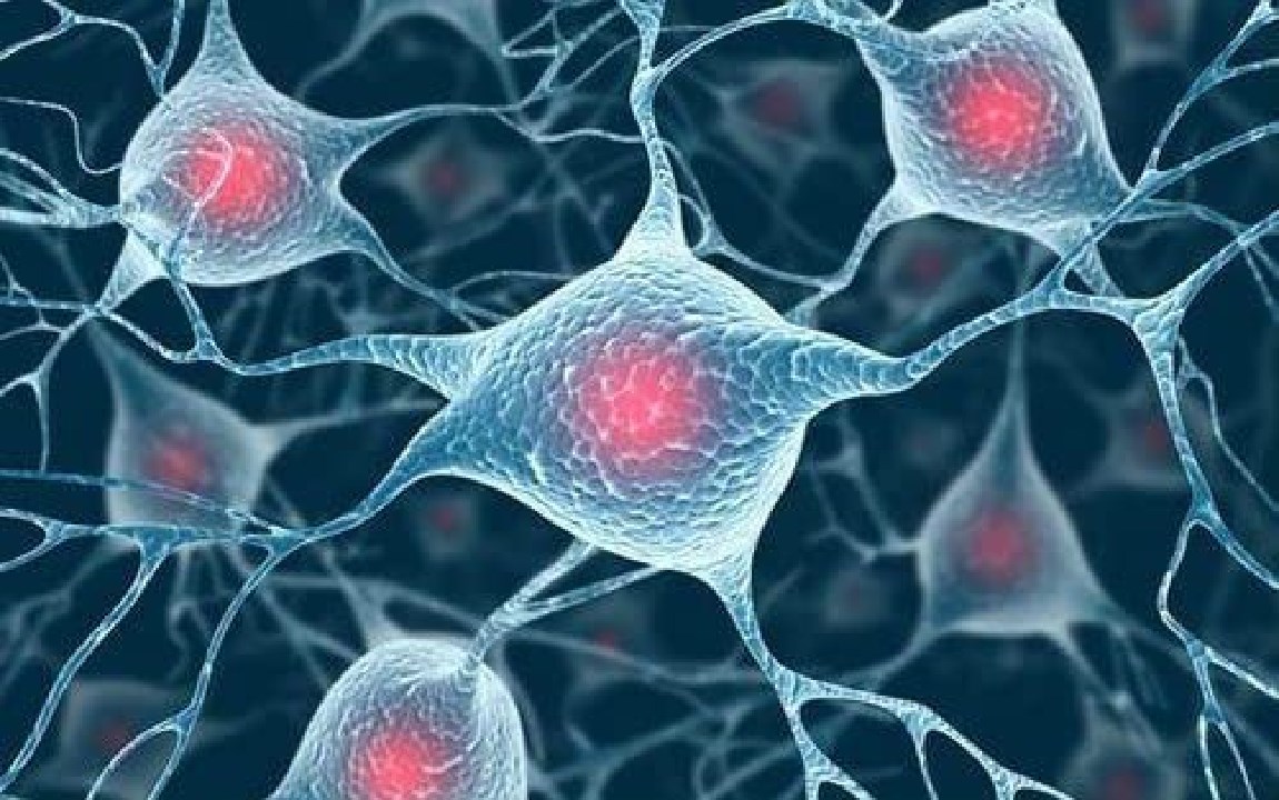 火星 人体存在“僵尸基因”？死后12小时活跃达到峰值，企图复活主人