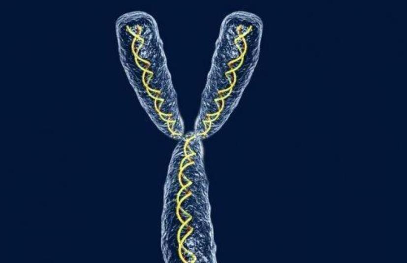 超能力 2021灾难频发,人类将来或面临8种灭绝方式,希望是第6种