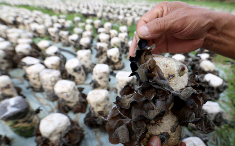 肝癌|男子烟酒不沾,却查出肝癌,手术2次身亡,医生:“1物”比烟酒还伤肝