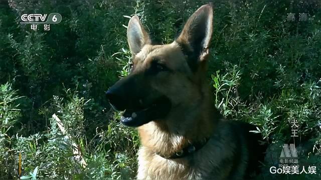 豆瓣|人神共愤！全网怒刷一星，他是中国影视圈的奇耻大辱