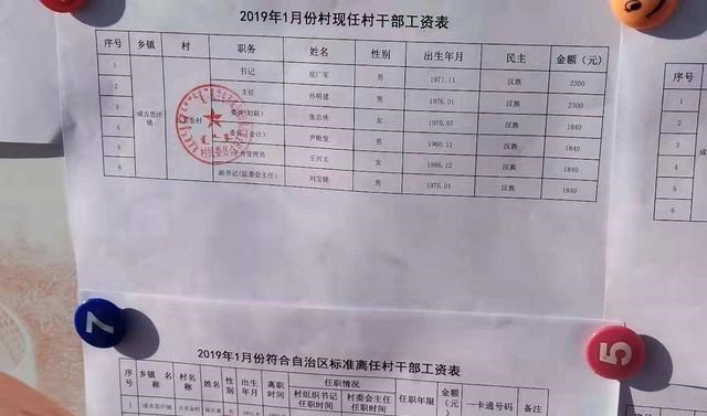 杨幂|2021年村干部年薪统一上调，福利待遇升级，你会参加竞选吗？