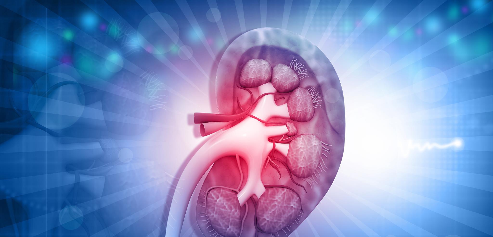 过敏|女性被肾病“偏爱”，并非没有原因的，这几种常见肾病类型要当心