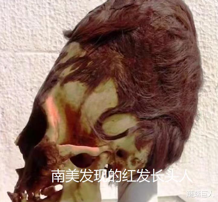 基因 让人无法信的基因检测，战败异星人受困地球，人类无形再添谜团