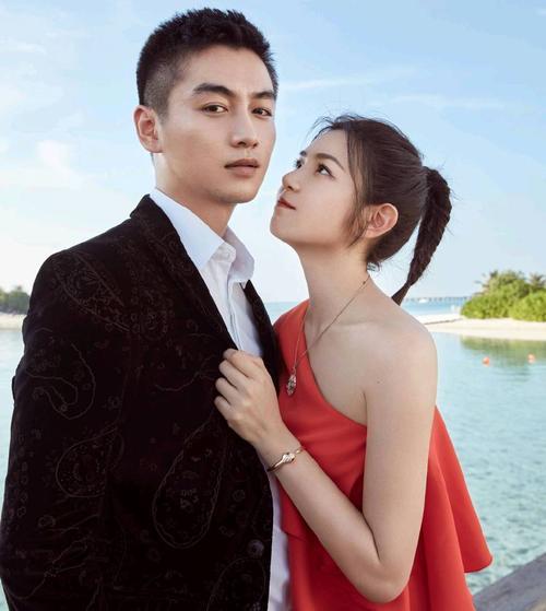 陈晓|陈晓新剧即将播出，宣传会被迫营业，网友：她是他终身的意难平