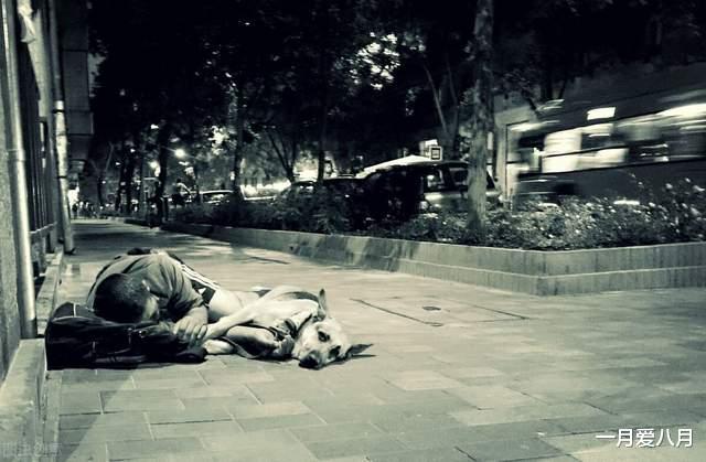 一月爱八月|0岁男子哭诉:父母两次逼我入赘,如今父亲病重,让我尽孝,晚啦