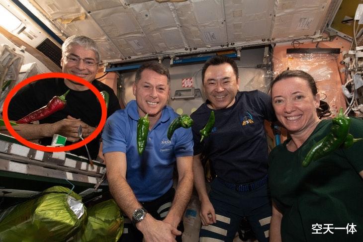 国际空间站的辣椒丰收了,航天员在太空中真的只尝得出辣味吗?
