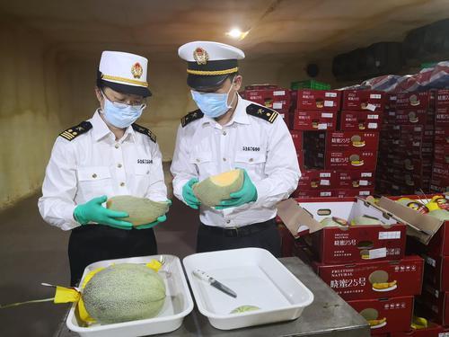 羊城派 出口突破！广州海关关区首次出口火龙果和哈密瓜
