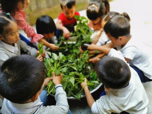 哑铃妈妈|德国人口那么少，为何能拿到近一半的诺贝尔奖？看幼儿园就明白了