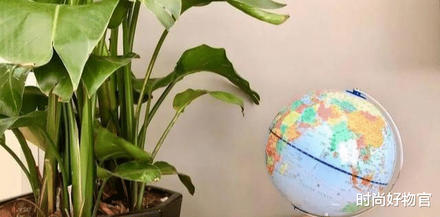 AR|薇娅几分钟卖10万台？北斗打造的AR地球仪，网友：不愧是百科全书