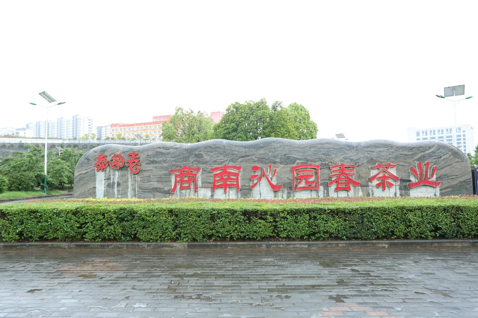 陕西微资讯 陕西商南：三代茶人接力提品质、树品牌、拓市场创出北纬33°奇迹