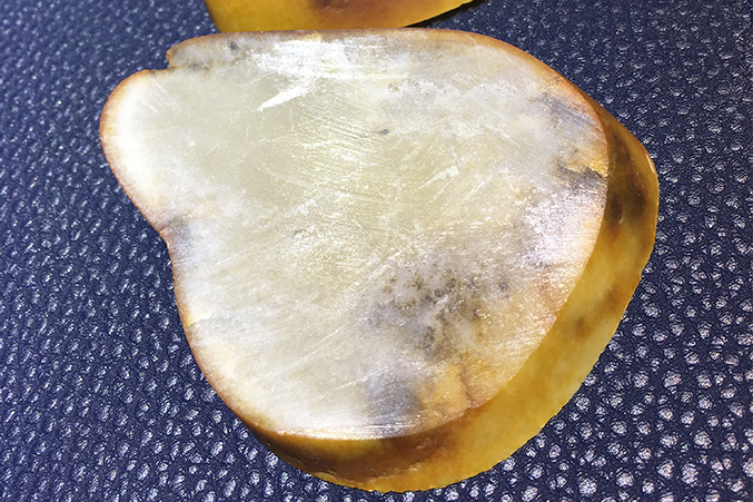 |玉与瑕的相依相存