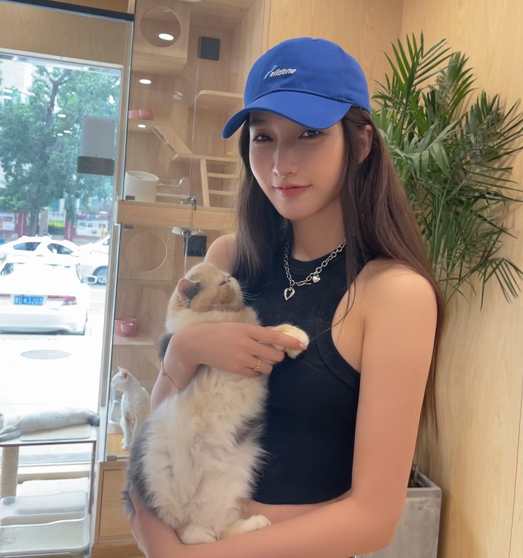 都美竹|都美竹写手徐某采访，简单的6个问题，却彻底甩锅他人