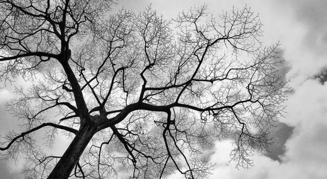 科学家 宇宙是被设计出来的吗？微观和宏观的自相似性或许能够给出答案