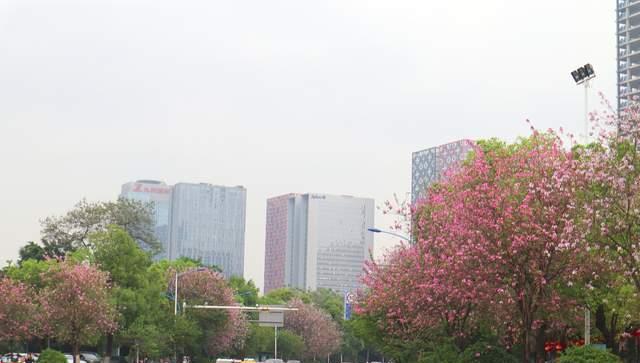 文风雨 广西柳州工业博物馆，建在原第三棉纺厂旧址，工业是柳州人的骄傲
