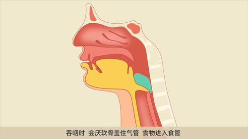 艾灸|一个古老的疏通经脉和激发能量的方法——脊髓呼吸