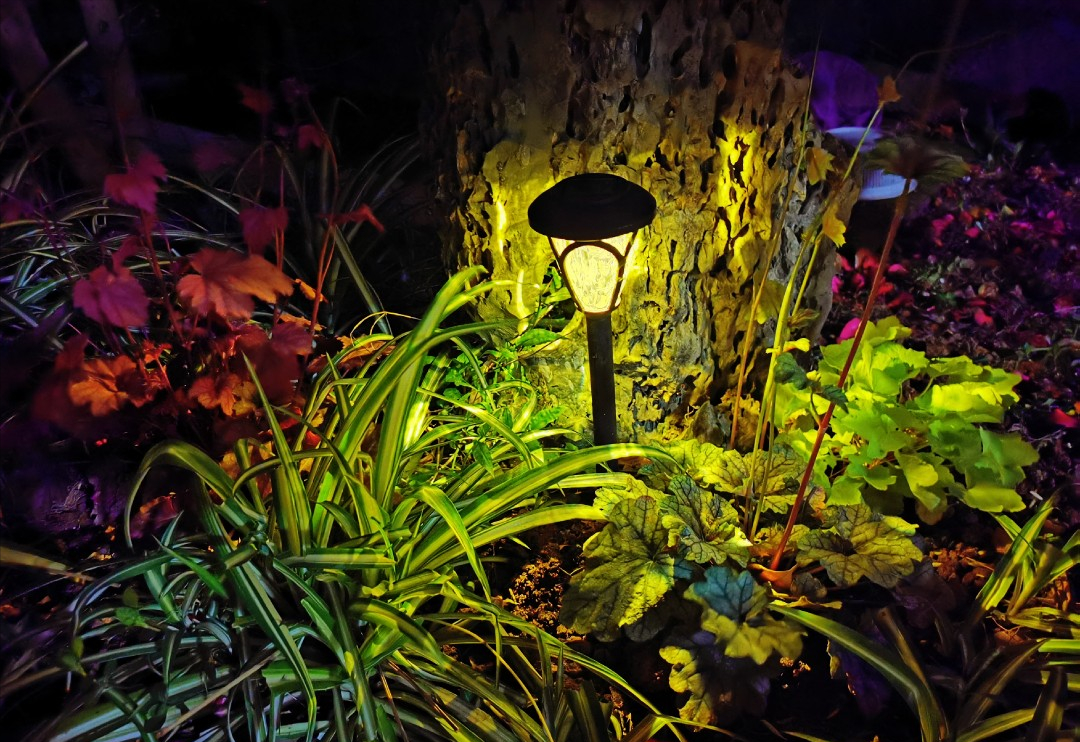 混凝土|适合“懒人”，低维护庭院花园设计，这种简约现代小院实用好打理