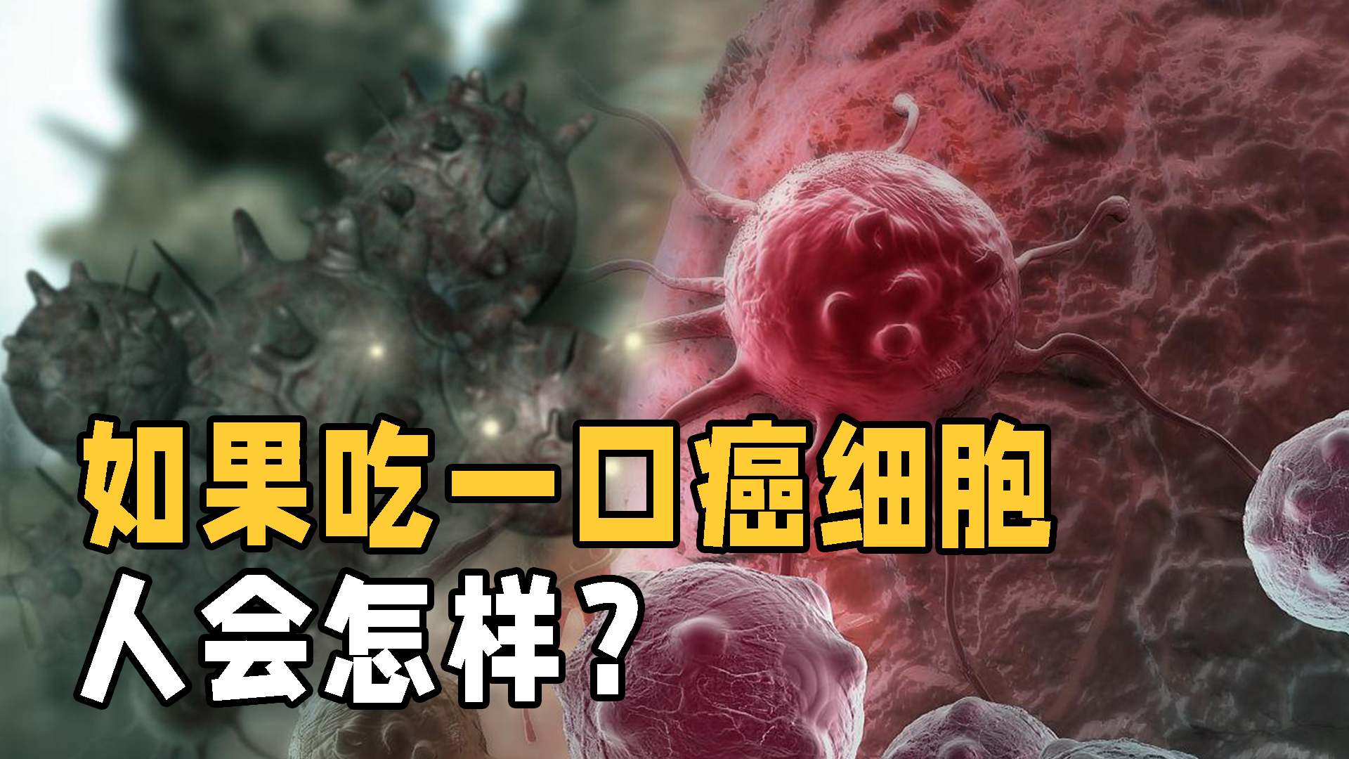 癌细胞为什么这么顽固?假如吃下一块癌细胞,人体会发生什么?