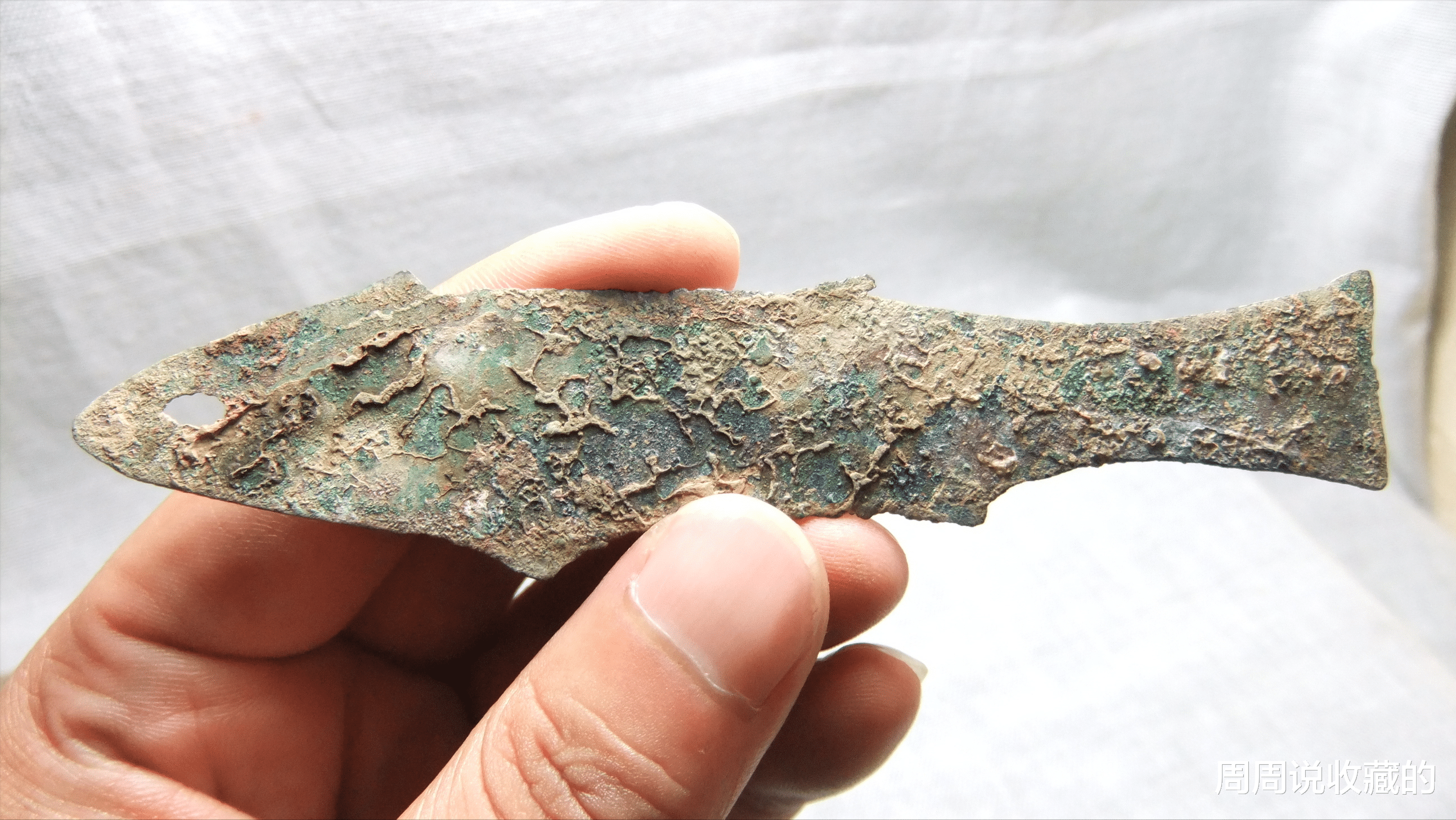 |鱼币属于流通货币吗？