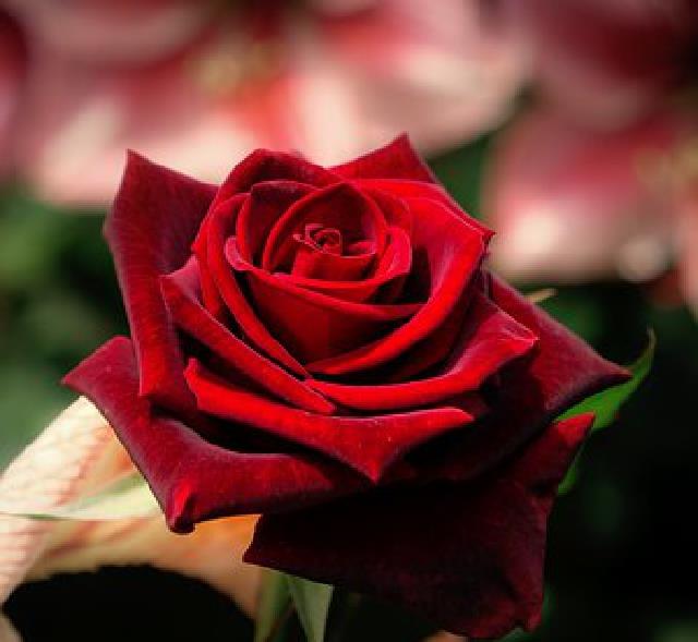 陈敏妍说情感|短有深意的感悟句子,精致走心,读读受益无穷