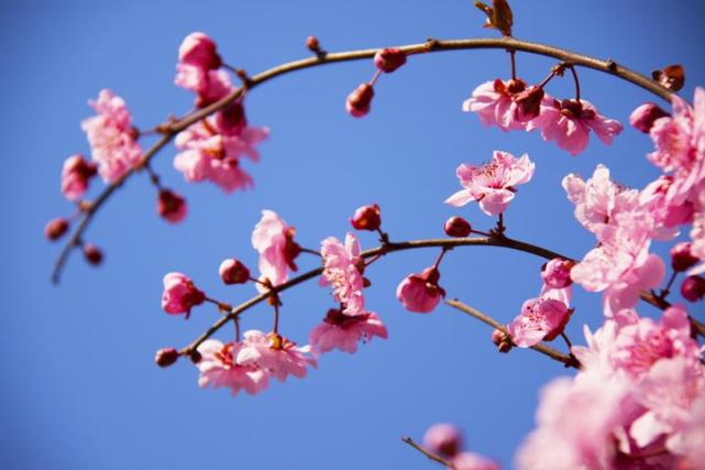 属兔|2021年贵人一路相伴，职场翻身，财运兴旺，不再坎坷的3属相