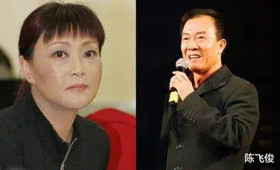 陈飞俊|当年,戴志诚和杨蕾离婚后,两人很意外的在一场晚会后台相遇了