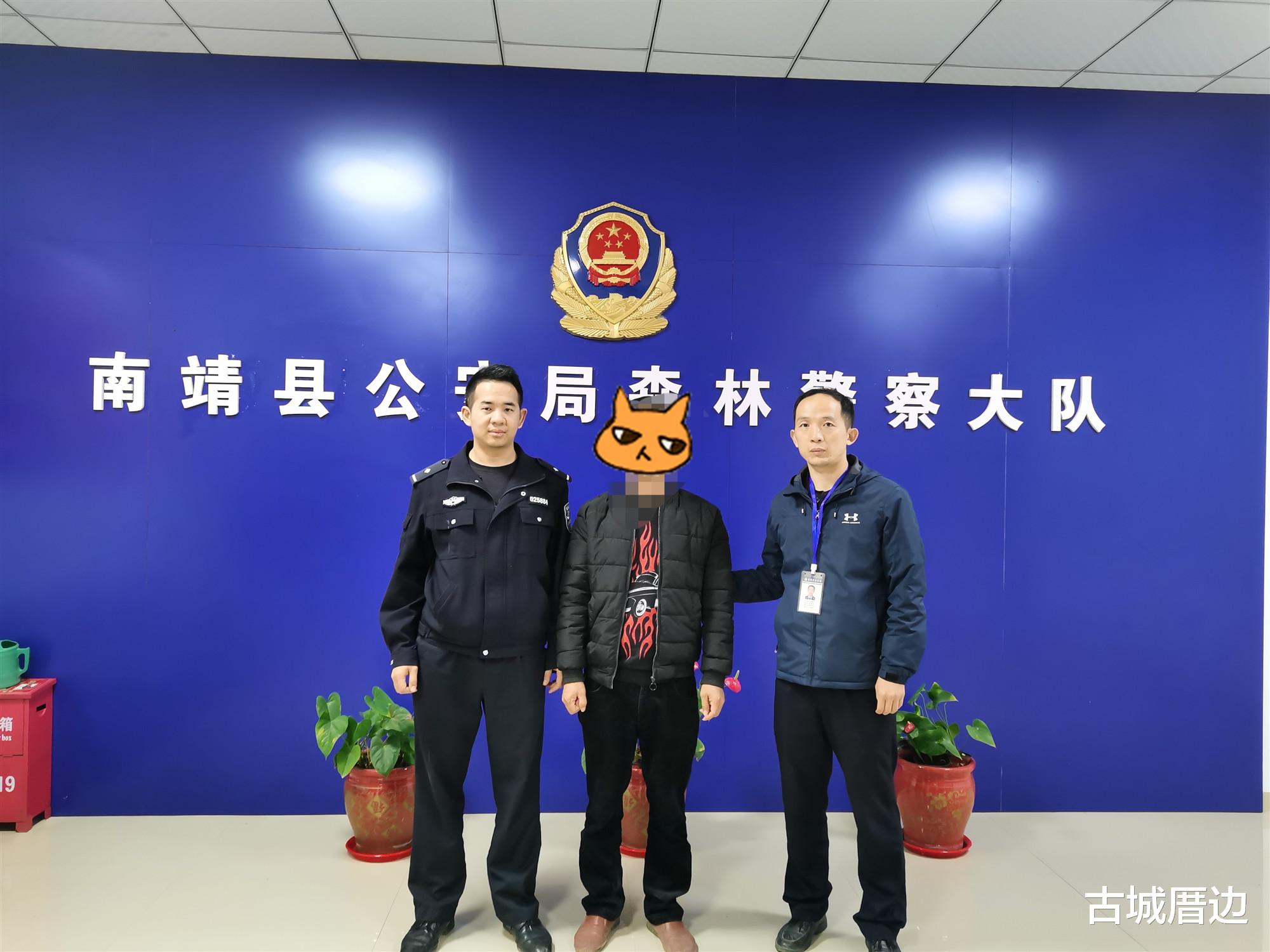 古城厝邊 南靖一名濫伐林木犯罪嫌疑人主動(dòng)投案