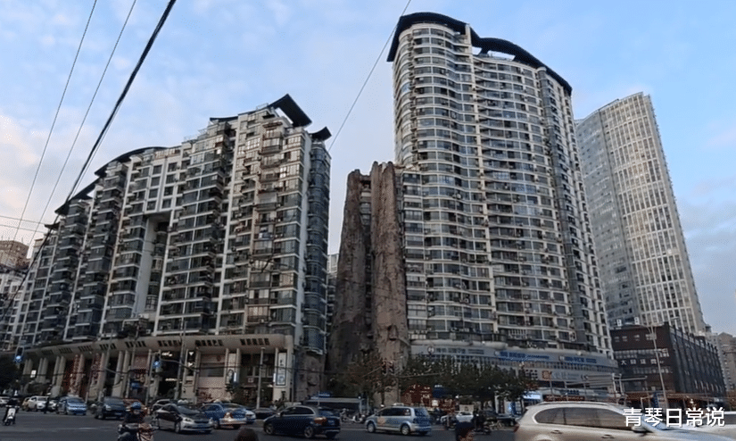 青琴日常说 上海一个“高回头率”小区，挨着大楼建假山，却有一个明显缺点