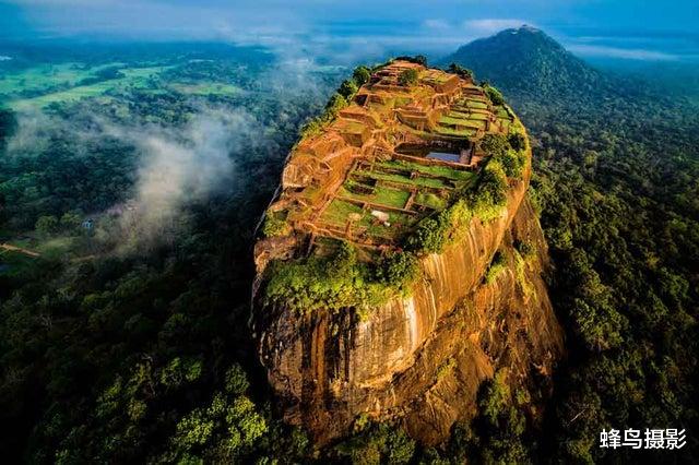 日本 35张活久未见的照片，X光下的鱼好像千手观音，熊这么上树太快了