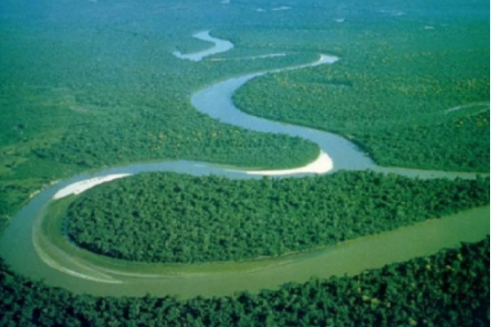 鳄鱼 世界上现存体长最大的蛇，和体型最重的蛇，谁的实力会更胜一筹？