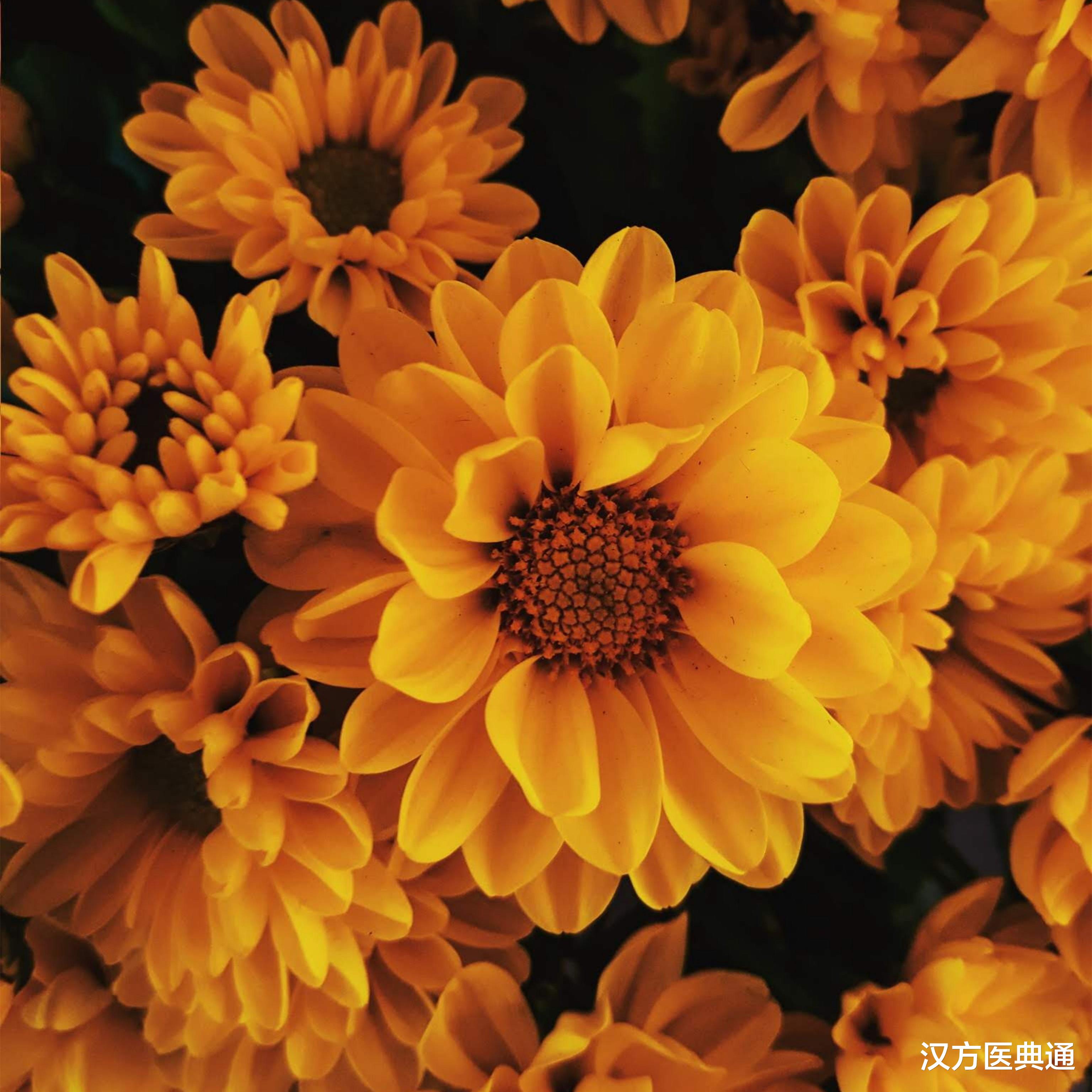 为什么吃完辣会菊花痛？