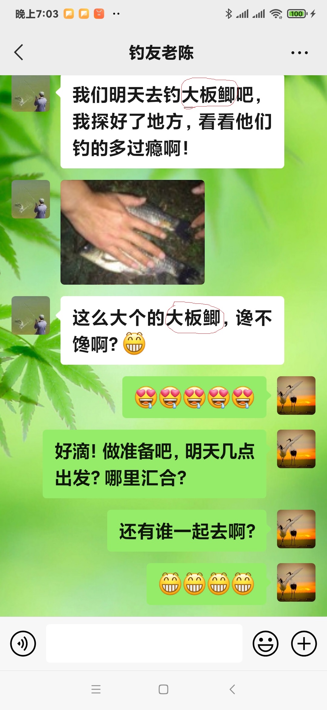 大阪|钓友们冬季都去垂钓鲫鱼，本文普及一个你不一定知道的鲫鱼常识