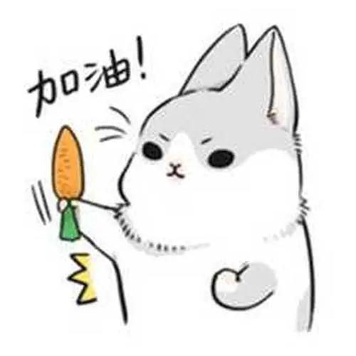 高考|谁的高中不迷茫？