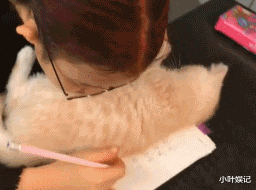 小叶娱记 千万不要让男生帮忙挑泳衣，这谁都扛不住啊，真是醉了