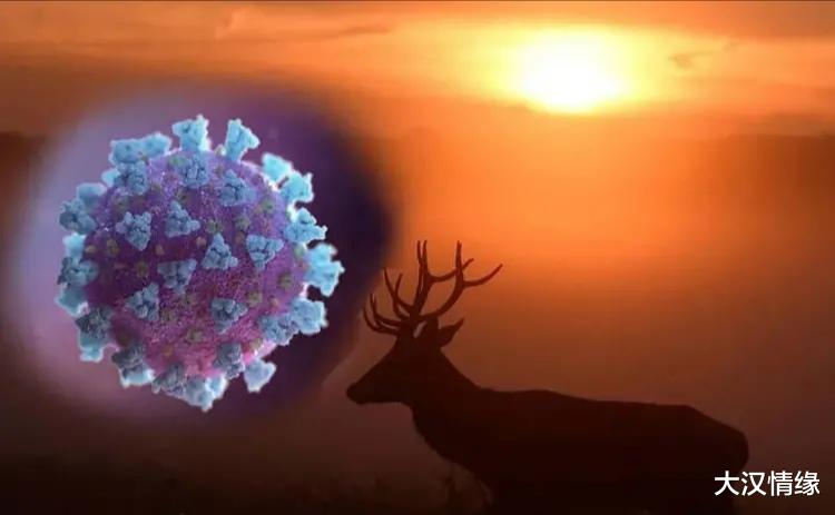 沙特阿拉伯|美国新冠病毒持续蔓延失控，一些动物也恐怕已经被感染，情况更为复杂！