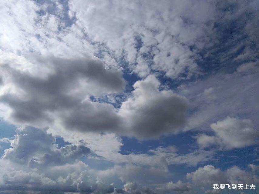 我要飞到天上去 我找到了农村里的一些妻子跑路的真正原因