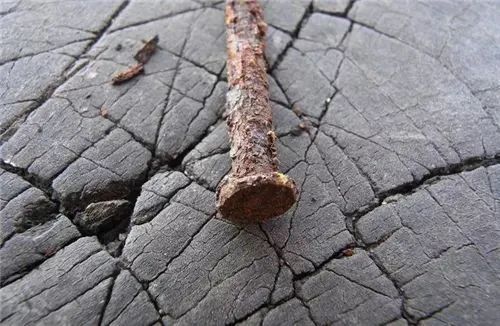 钱江视频 一个小伤口，这俩台州人鬼门关转了一圈！