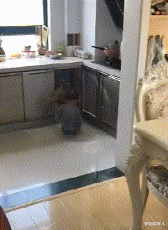 学姐说育儿|“曾经的首富已变得一无所有,只剩下北京264套房子”