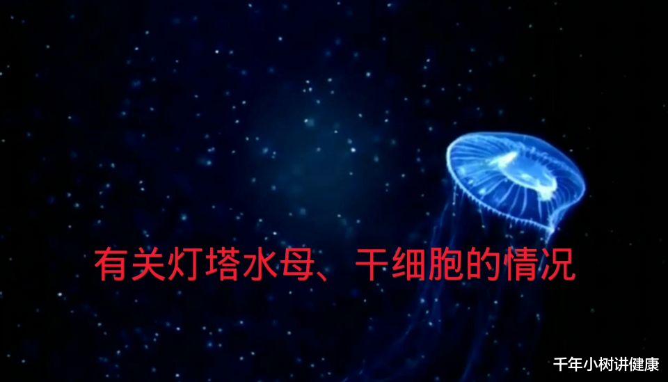 千年小树讲健康|探究中医的奠基人和长寿方法