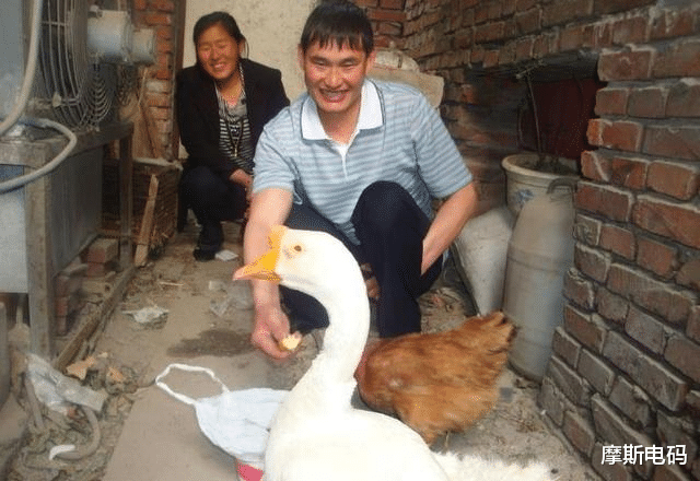 朱之文|大衣哥儿媳“夺权”失败?朱小伟强势反击,朱之文成为最强对手