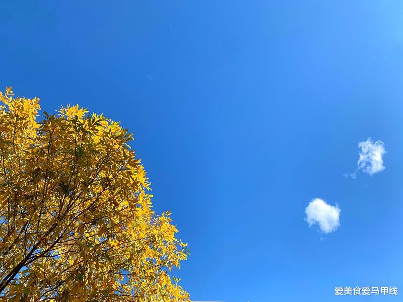 爱美食爱马甲线|一个人过得如何，只有自己才知道，他人看到的只是一个表象