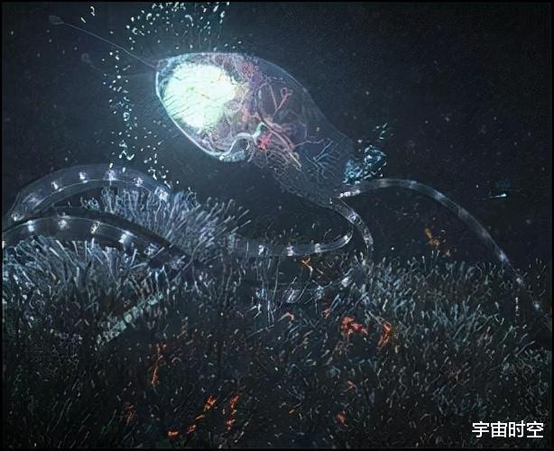 深度剖析:科学家为何要按照地球生命的生存条件寻找外星生命?