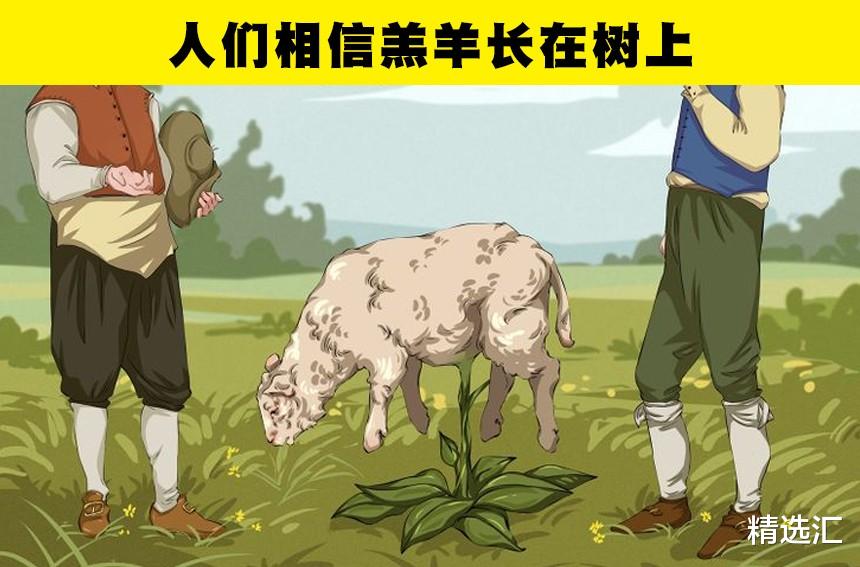 虽然听起来非常奇怪,但却是真实情况的8个历史事实