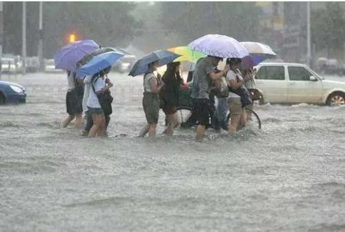 育儿馨说|危难时刻见忠诚!一辆军车在漫天大水逆行,这一彻底震撼了欧美