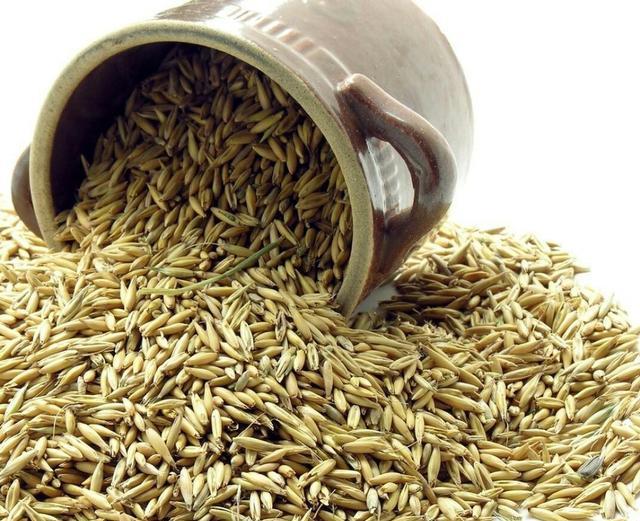 血糖|吃什么东西有助于降血糖？