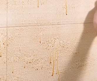 会生活的女人,家里会备上生活小物!看着不贵,用过才知道实用