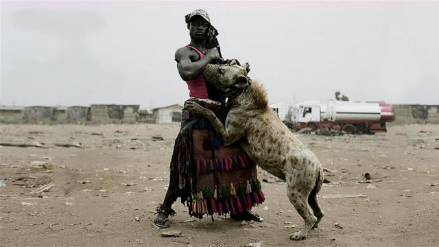 鬣狗 鬣狗被称为“草原二哥”，为什么害怕非洲人？看完却很是心酸！