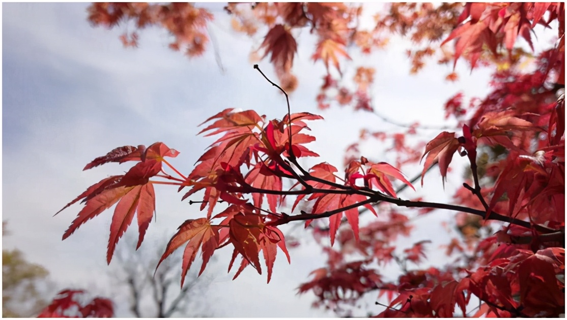 午后漫步 西安这条超级绿道全线贯通，感受生态慢行系统