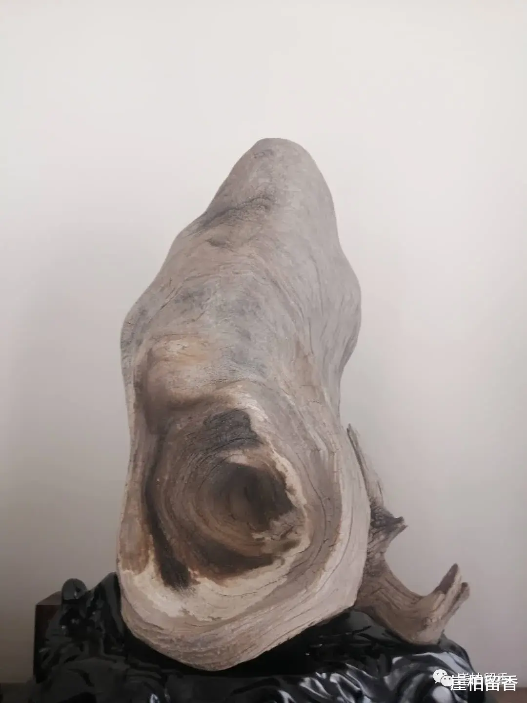 |3.8亿崖柏带给我们的是什么呢？