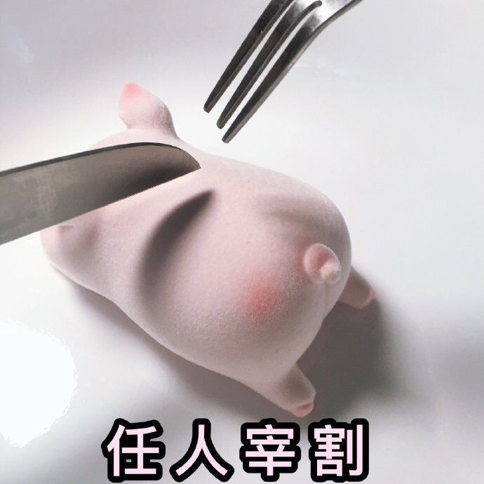 表情包|猪猪表情包 总有你喜欢的【金馆长表情包】